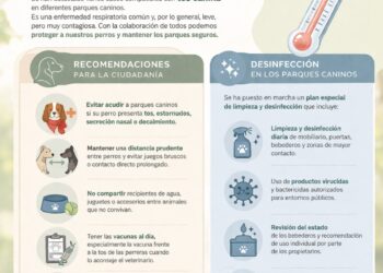 Medidas preventivas ante la detección de casos de tos canina en parques caninos