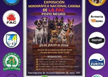 Antigua se confirma como sede de la Exposición Monográfica Nacional Canina