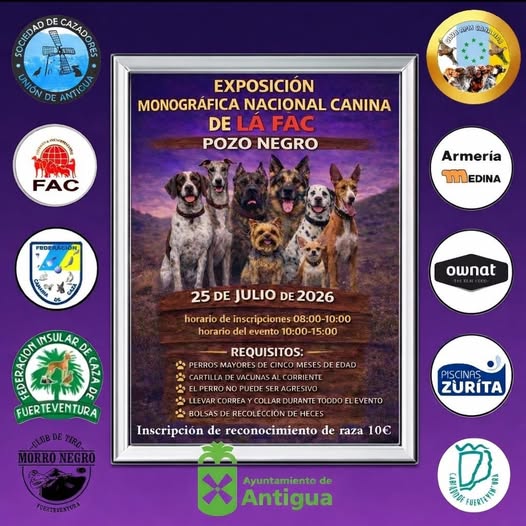 Antigua se confirma como sede de la Exposición Monográfica Nacional Canina