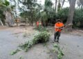 Las cuadrillas concluyen la acción de choque en Costa Calma y retiran 400 m3 de residuos