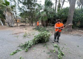 Las cuadrillas concluyen la acción de choque en Costa Calma y retiran 400 m3 de residuos