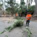 Las cuadrillas concluyen la acción de choque en Costa Calma y retiran 400 m3 de residuos