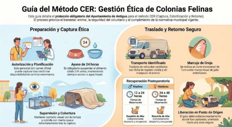 El Ayuntamiento de Antigua unifica la gestión de las colonias felinas con un Protocolo para el bienestar animal
