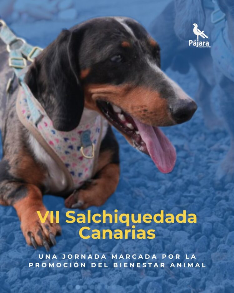 Pájara acoge la VII ‘Salchiquedada Canarias’ celebrada en Morro Jable