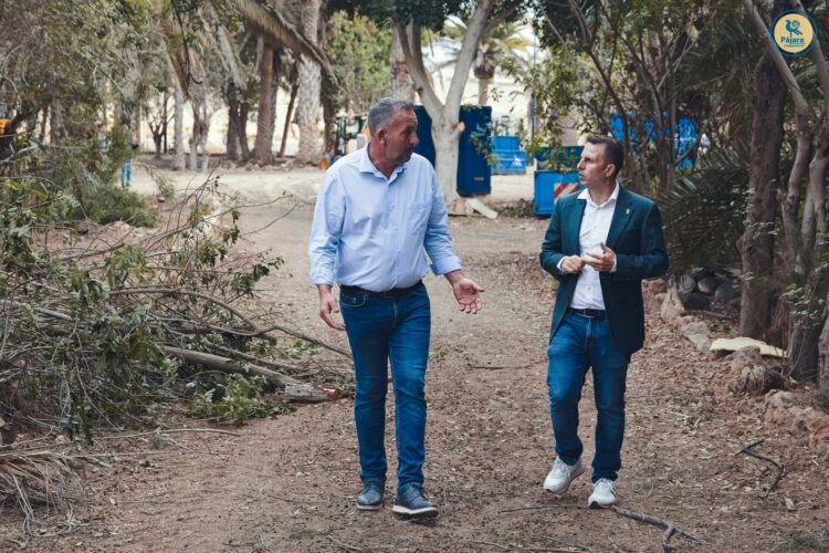 El Ayuntamiento asegura la continuidad de los trabajos en el palmeral de Costa Calma
