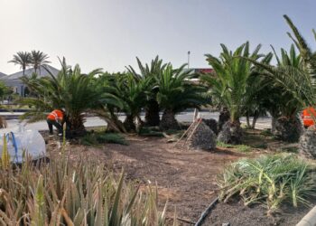 La limpieza de la FV-2 a su paso por El Castillo continúa en sentido norte y en el paso peatonal