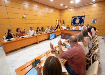 Pleno línea marítima con Cádiz | Cabildo de Fuerteventura