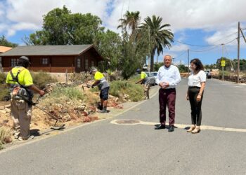 El Ayuntamiento de Antigua acomete una limpieza integral en Triquivijate