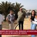 El ayuntamiento acondiciona y mejora el parque de la calle Molinos de Viento