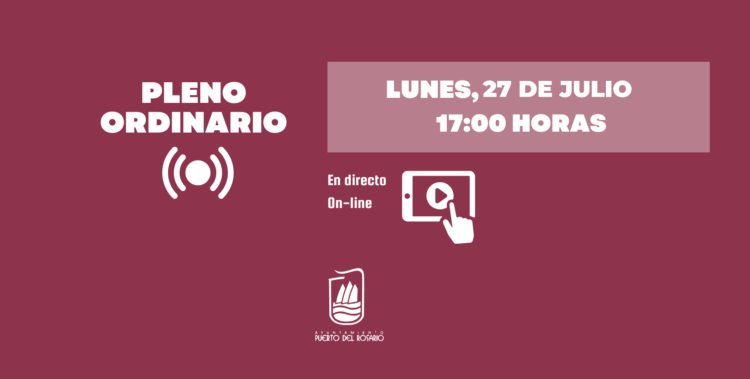 PLENO ORDINARIO JULIO