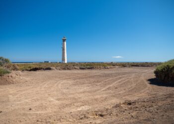 Saladar de Jandía | Cabildo de Fuerteventura