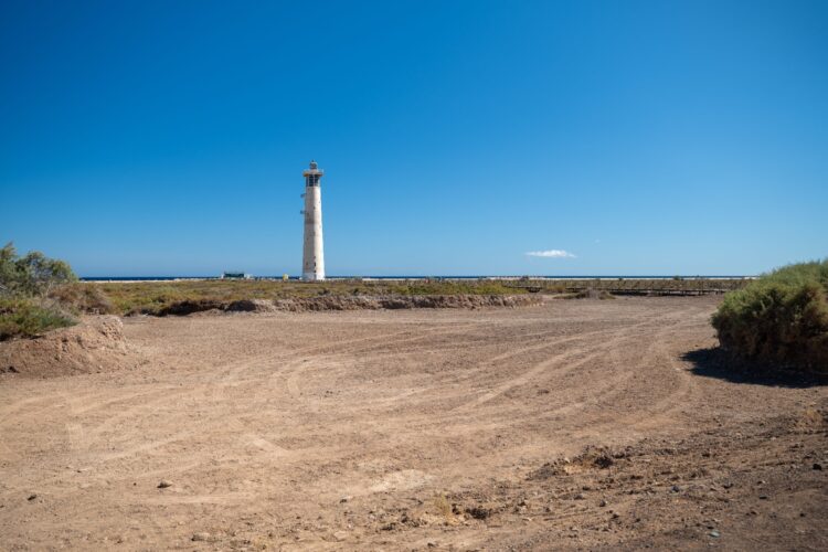 Saladar de Jandía | Cabildo de Fuerteventura