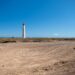 Saladar de Jandía | Cabildo de Fuerteventura