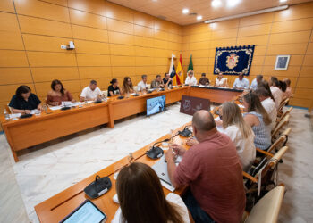 Pleno infraestructuras universitarias | Cabildo de Fuerteventura