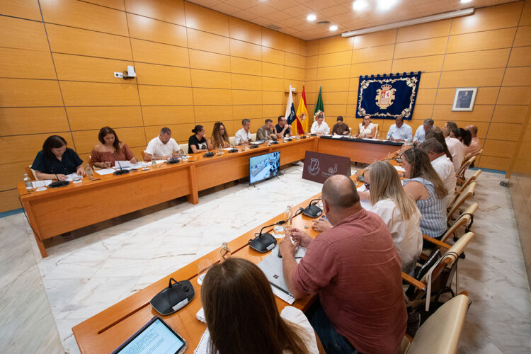 Pleno infraestructuras universitarias | Cabildo de Fuerteventura