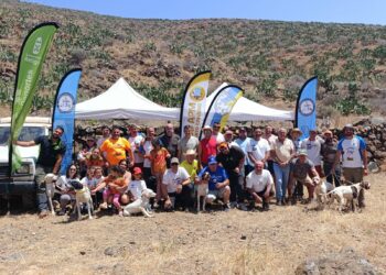 Club APM Circuito Canario | Cabildo Fuerteventura