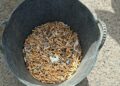 El ayuntamiento impulsa una campaña de concienciación sobre el impacto ambiental de las colillas