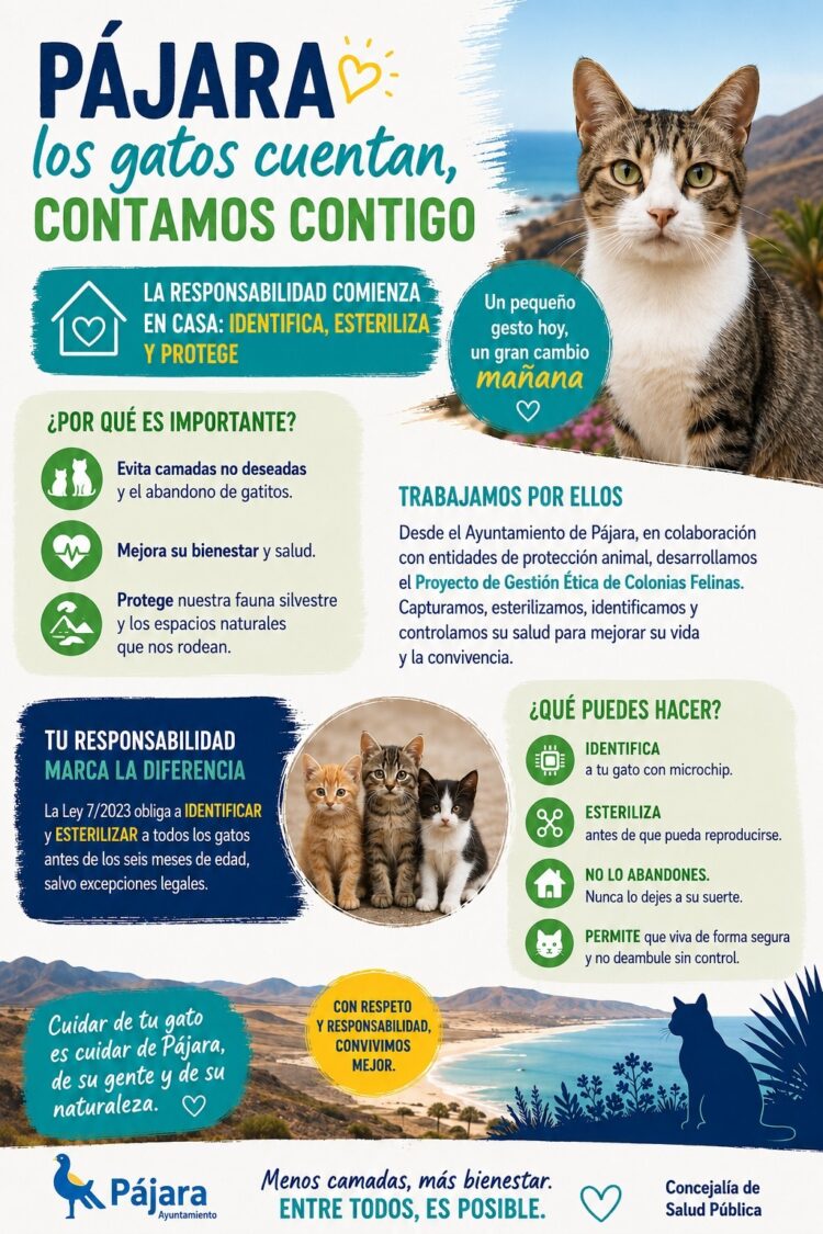 El Ayuntamiento de Pájara hace un llamamiento a la tenencia responsable de gatos