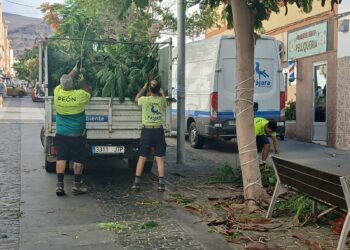 El Ayuntamiento de Pájara realiza trabajos de limpieza y mantenimiento en los jardines de Morro Jable