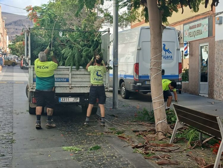 El Ayuntamiento de Pájara realiza trabajos de limpieza y mantenimiento en los jardines de Morro Jable