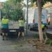 El Ayuntamiento de Pájara realiza trabajos de limpieza y mantenimiento en los jardines de Morro Jable