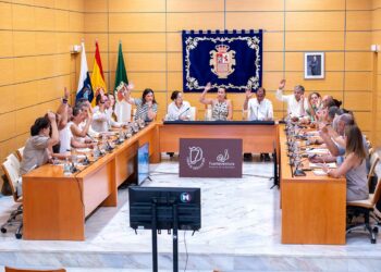 Pleno extraordinario | Cabildo Fuerteventura