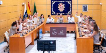 Pleno extraordinario | Cabildo Fuerteventura