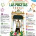 Las Pocetas celebra sus fiestas en honor a San Francisco Javier con actos tradicionales como concurso de disfraces y carrera de caballos