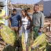 Fuerteventura actúa contra la cochinilla mexicana | Cabildo de Fuerteventura