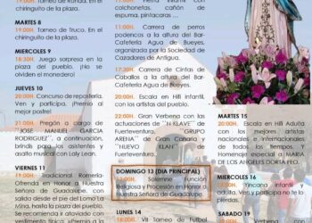FIESTAS DE NUESTRA SEÑORA DE GUADALUPE 2026, EN AGUA DE BUEYES