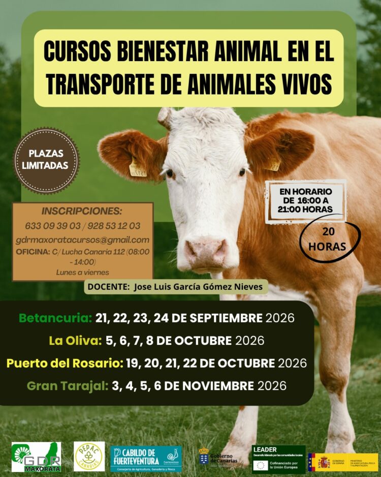 Cabildo y GDR Maxorata promueven cuatro cursos sobre bienestar animal en el transporte de animales