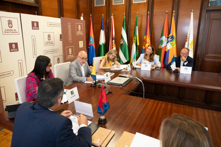 Lola García respalda una estrategia conjunta de los cabildos para crear alojamiento universitario destinado a las islas no capitalinas