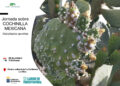El Cabildo de Fuerteventura imparte una jornada informativa sobre la cochinilla mexicana