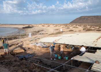 Excavacion Isla de Lobos | Cabildo de Fuerteventura