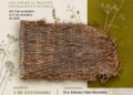 Exposición Museo Arqueológico | Cabildo de Fuerteventura