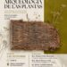 Exposición Museo Arqueológico | Cabildo de Fuerteventura