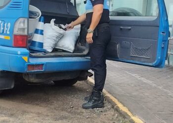 La Policía Local de Pájara incauta 57,5 kilos de mejillones extraídos ilegalmente en Costa Calma